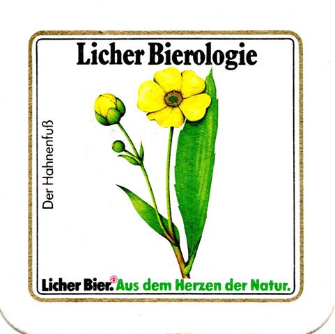 lich gi-he licher biero blu 2stg 1a (quad185-der hahnenfu)